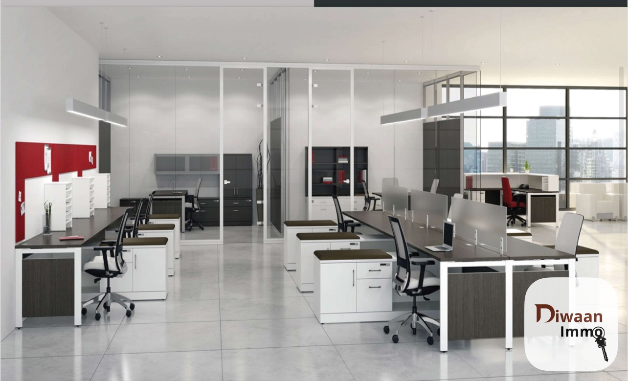 Appartements à vendre allant de F3 à F5 aux maristes. - Image 3