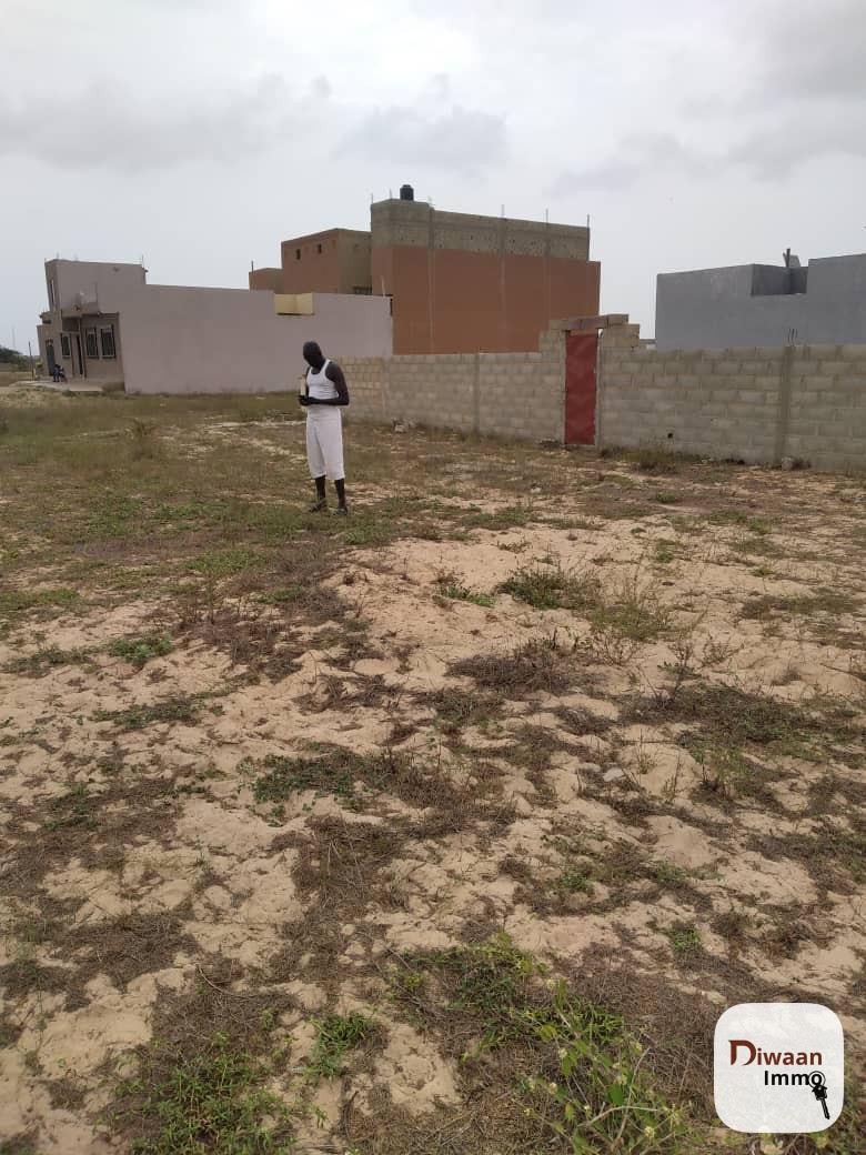 Terrain à vendre à kounoune - Image 4